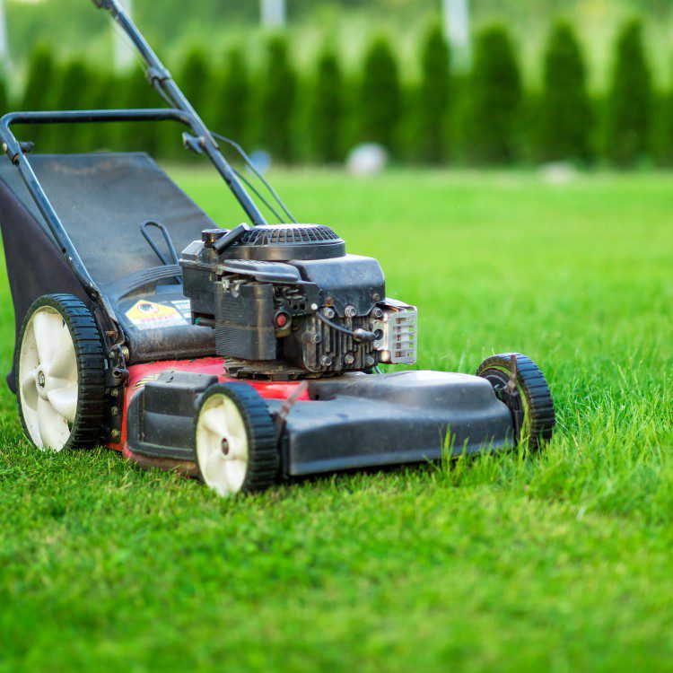 Outdoor Property Services in Buffalo, MN Outdoor Property Services in Buffalo, MN