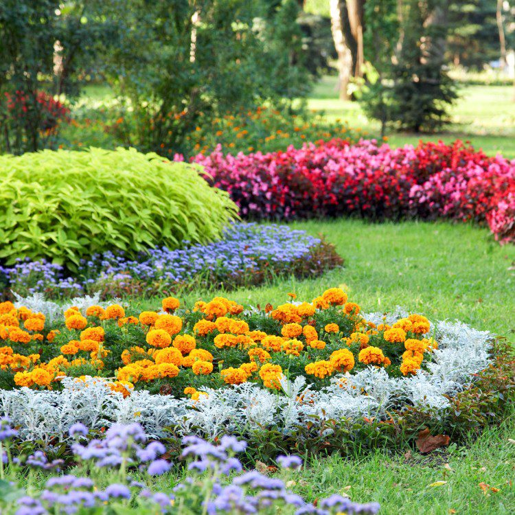 Outdoor Property Services in Buffalo, MN Outdoor Property Services in Buffalo, MN