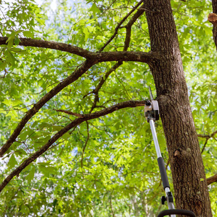 Outdoor Property Services in Buffalo, MN Outdoor Property Services in Buffalo, MN