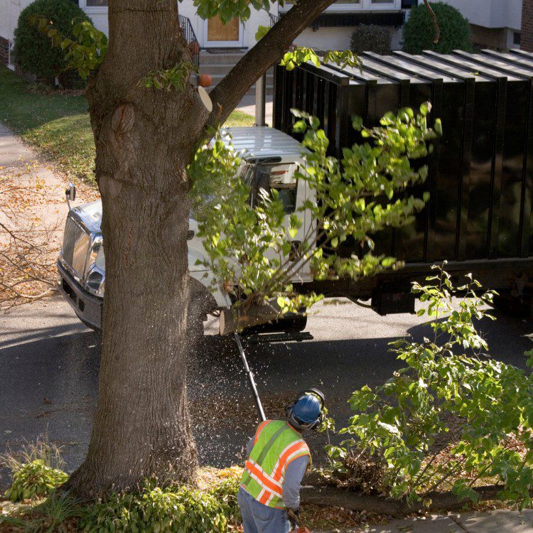 Outdoor Property Services in Buffalo, MN Outdoor Property Services in Buffalo, MN
