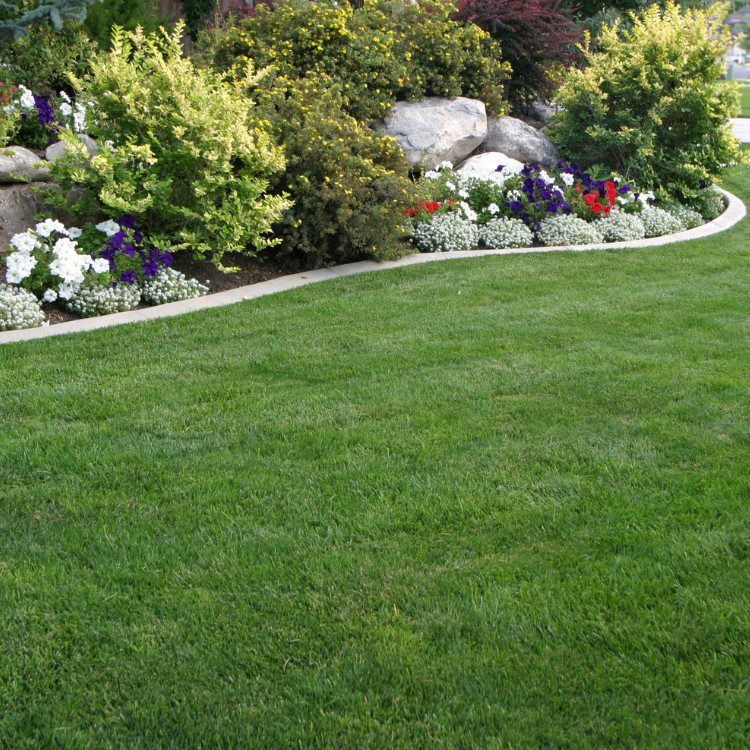 Outdoor Property Services in Buffalo, MN Outdoor Property Services in Buffalo, MN